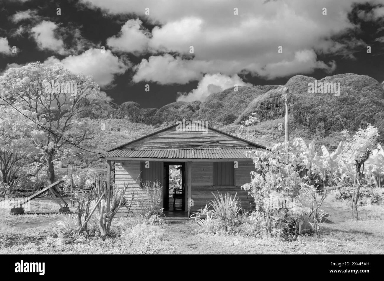 Une image infrarouge d'une ferme de base typique des bâtiments trouvés sur les petites plantations dans et autour de Vinales, Cuba Banque D'Images