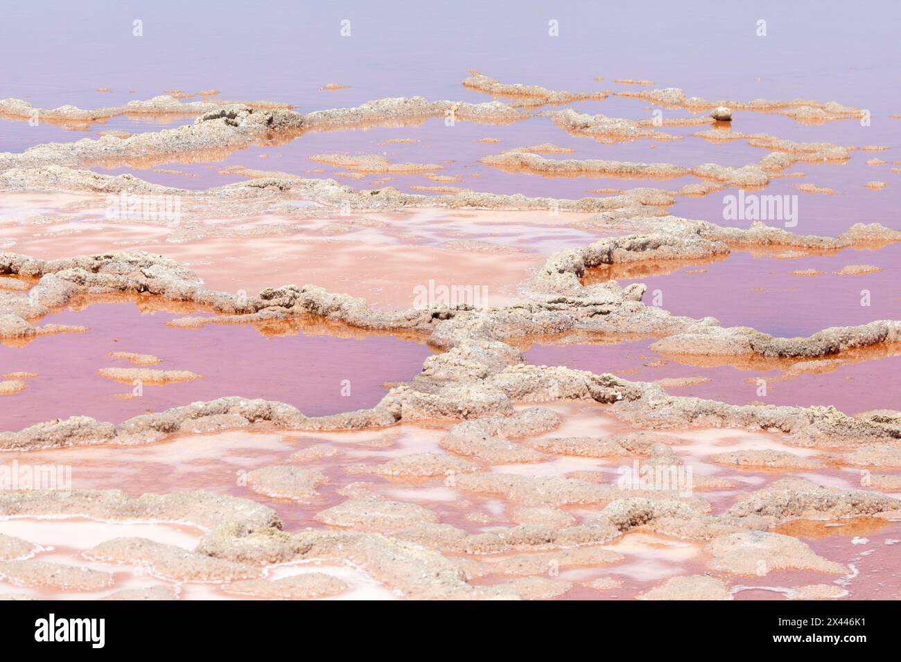 Cristallisation de sel marin dans une cuve d'évaporation dans une saline commerciale pendant la production de sel de table Banque D'Images
