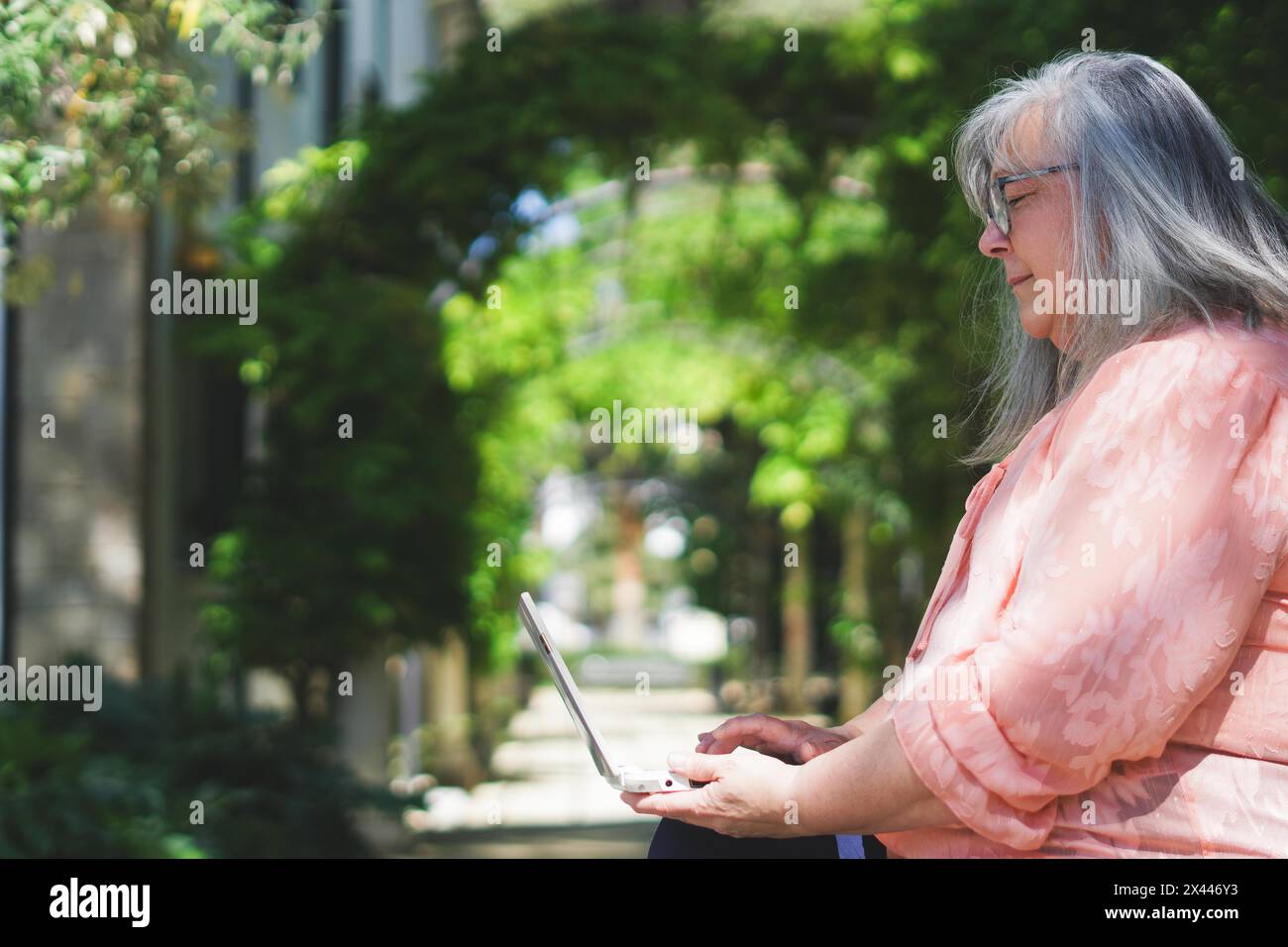 Femme âgée avec des cheveux blancs et des lunettes assis sur un banc de parc travaillant avec son ordinateur portable Banque D'Images