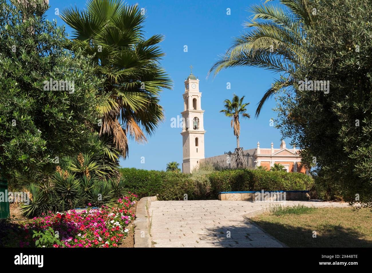 Pavage du chemin de pied en pierre et l'église St-Pierre à travers le parc Abrasha, Jaffa, Israël Banque D'Images