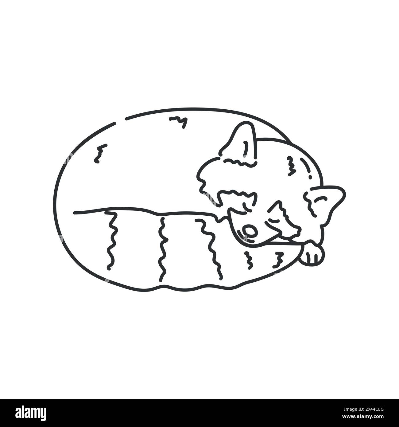 Le panda rouge mignon dessiné à la main dort. Contour de panda rouge. Illustration vectorielle Illustration de Vecteur