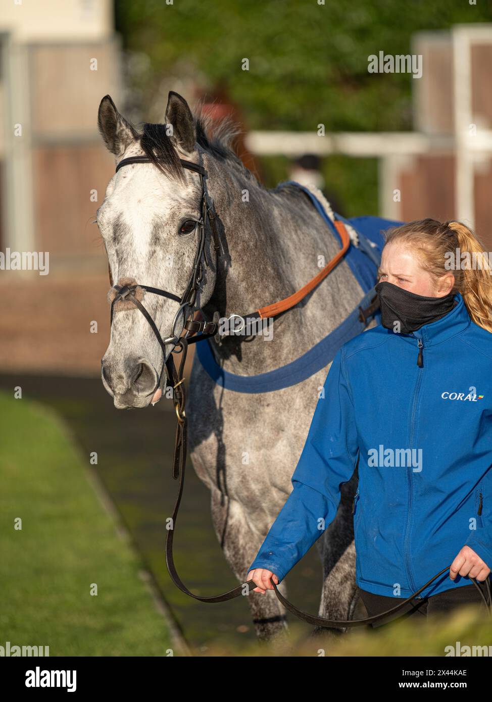 Cinquième course à Wincanton - handicap Steeple Chase, jeudi 20 janvier 2022 Banque D'Images