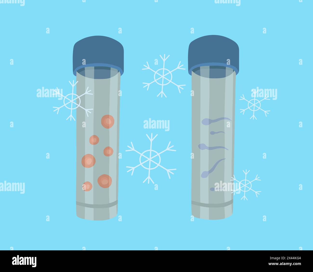 Illustration isolée vectorielle de la congélation des ovules et des spermatozoïdes. Cryoconservation des ovules et des spermatozoïdes. Clinique de reproduction. Insémination artificielle. Illustration de Vecteur