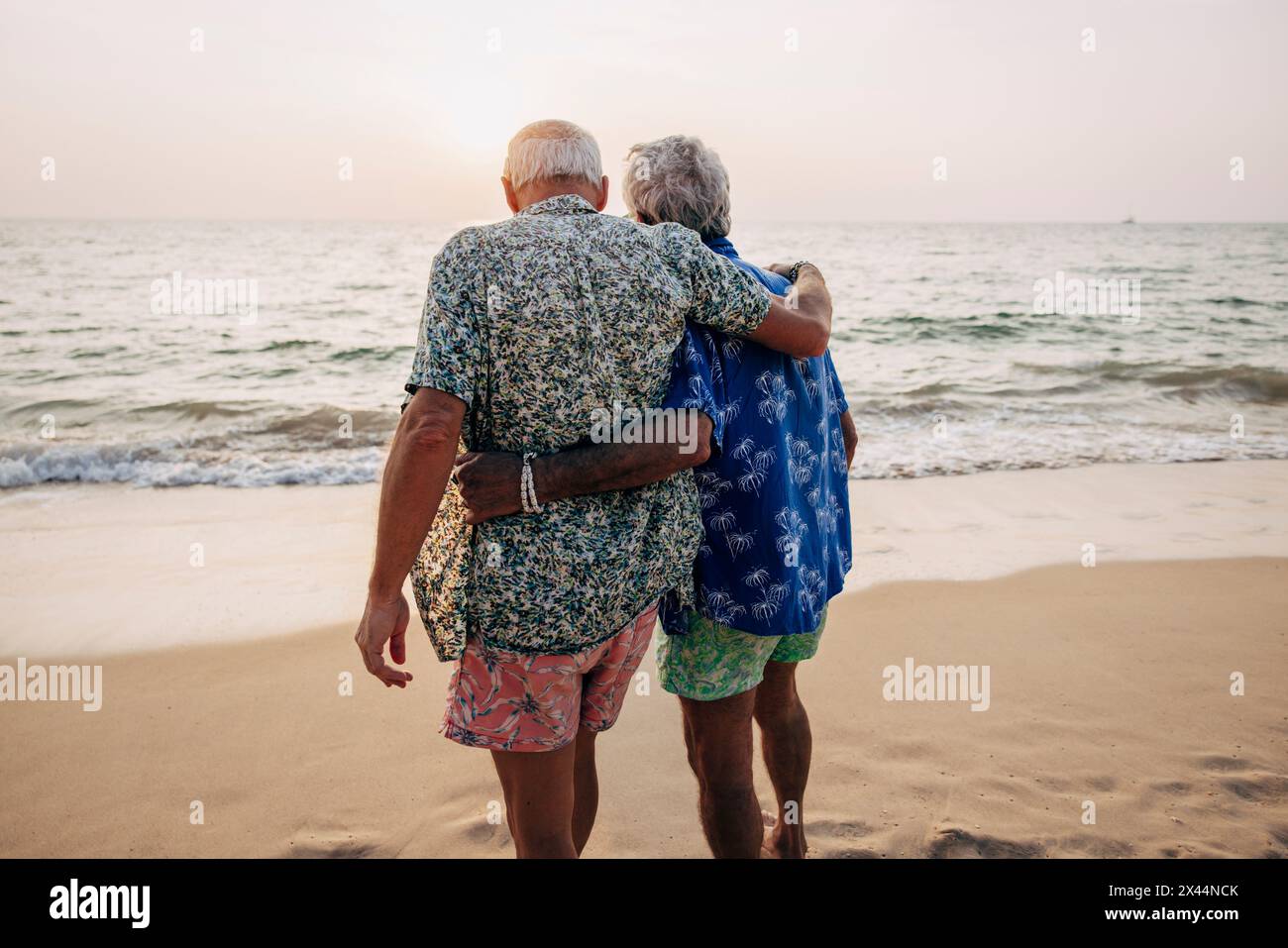 Vue arrière d'un couple gay debout avec les bras autour près de la rive à la plage Banque D'Images