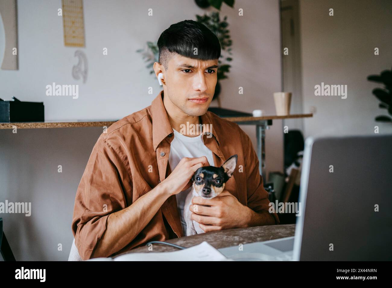 Chien sérieux freelance masculin caressant tout en regardant un ordinateur portable dans le bureau à domicile Banque D'Images
