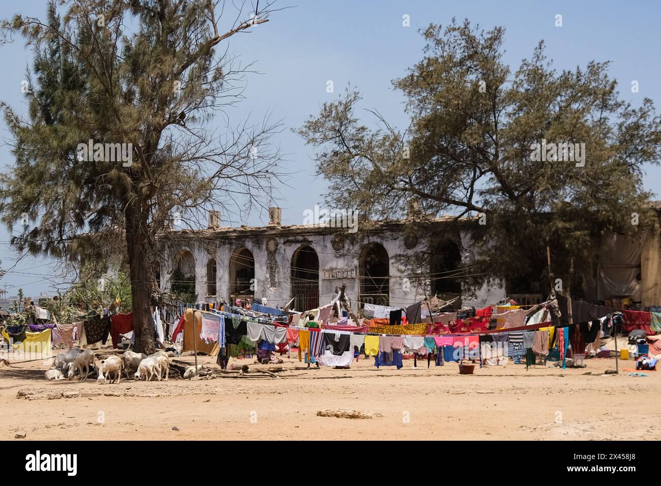 Goree, Sénégal. 23 avril 2024. © Nicolas Remene/le Pictorium/MAXPPP - Goree 23/04/2024 Nicolas Remene/le Pictorium - 23/04/2024 - Senegal/Dakar/Goree - des familles font secher du linge dans la cour de l'ancien hopital de Goree, le 23 avril 2024. - Valeurs ACtuelles out, no jdd, jdd out, RUSSIA OUT, NO RUSSIA #norussia/23/04/2024 - Sénégal/Dakar/île de Goree - familles séchant le linge dans la cour de l'ancien hôpital de Goree, 23 avril 2024. Crédit : MAXPPP/Alamy Live News Banque D'Images