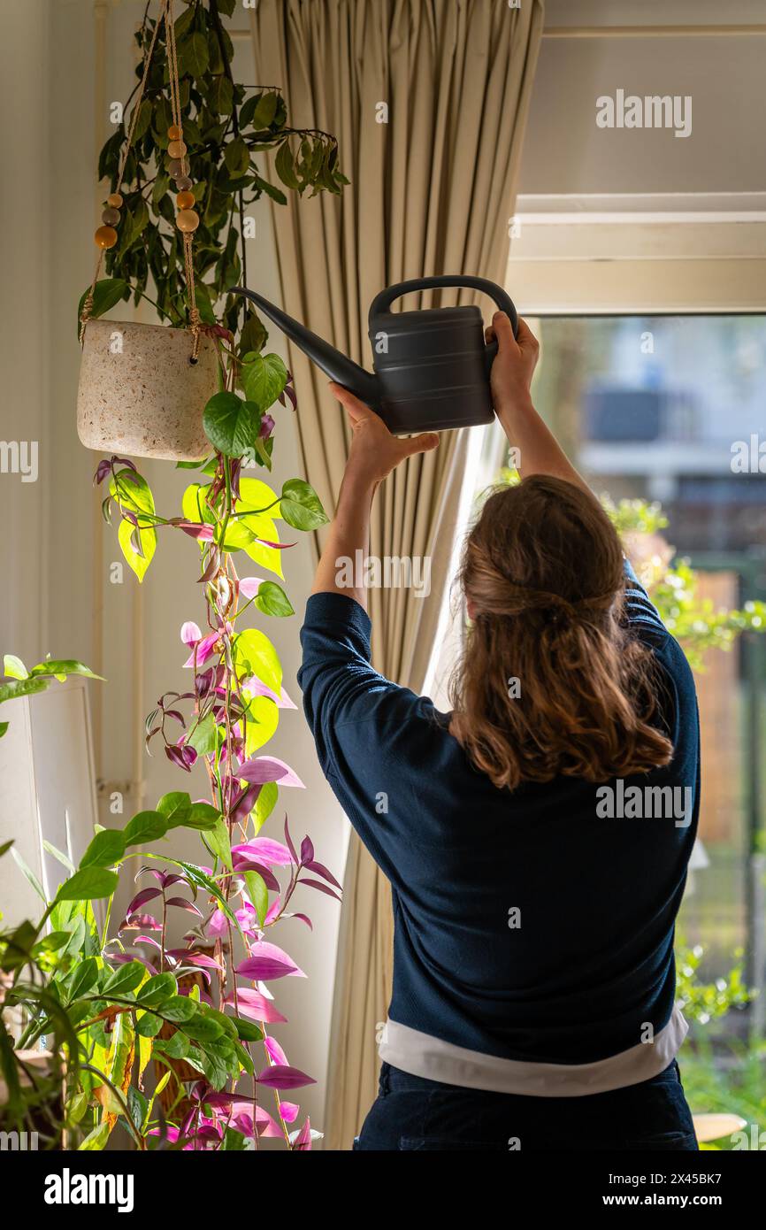 Femme arrosant des plantes suspendues illuminées par la lumière chaude du soleil de l'après-midi. Cintre de plante dans un intérieur confortable de la maison Banque D'Images