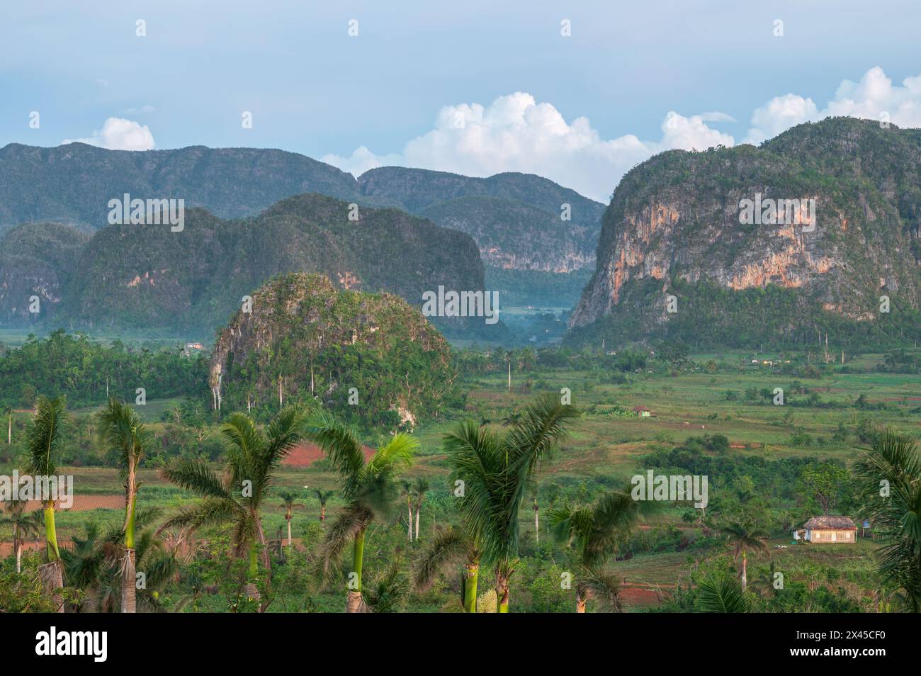 Une photo de paysage prise au lever du soleil du Mirador Los Jazmines regardant à travers la vallée de Vinales au paysage dramatique du Karst. Près de Vinales, Cuba. Banque D'Images
