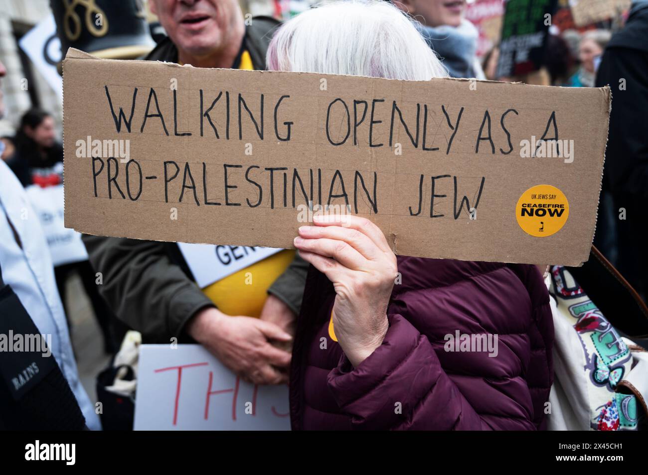 Le 27 avril, des milliers de personnes, dont beaucoup sont juives, se sont rassemblées sur la place du Parlement pour marcher vers Hyde Park, protestant contre le bombardement israélien de Gaza. Banque D'Images