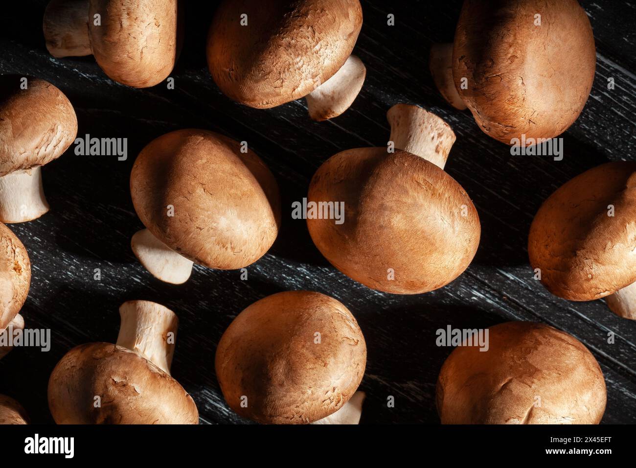 champignon brun sur fond de bois noir Banque D'Images