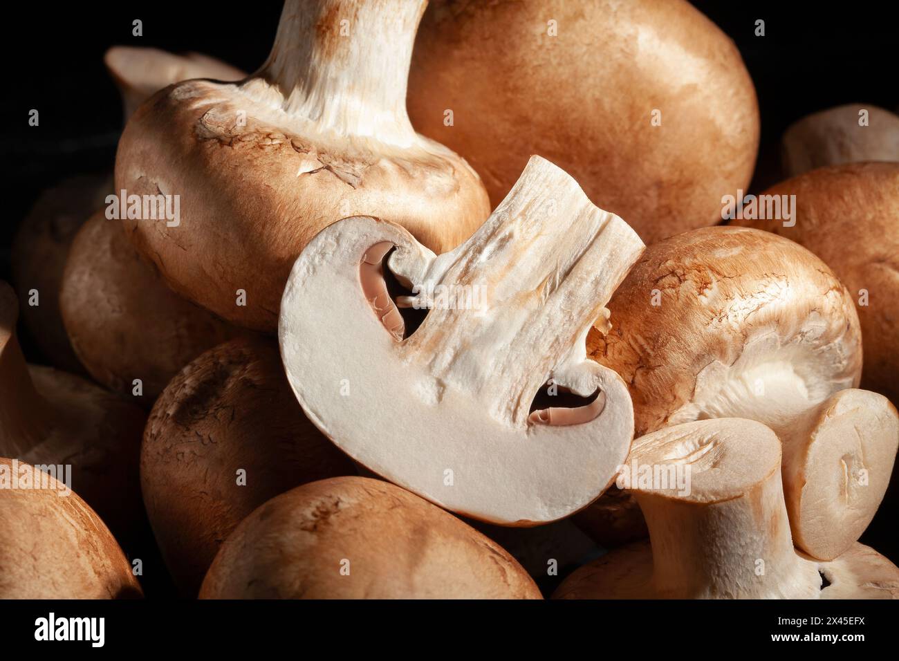 champignon brun tranché sur fond noir Banque D'Images