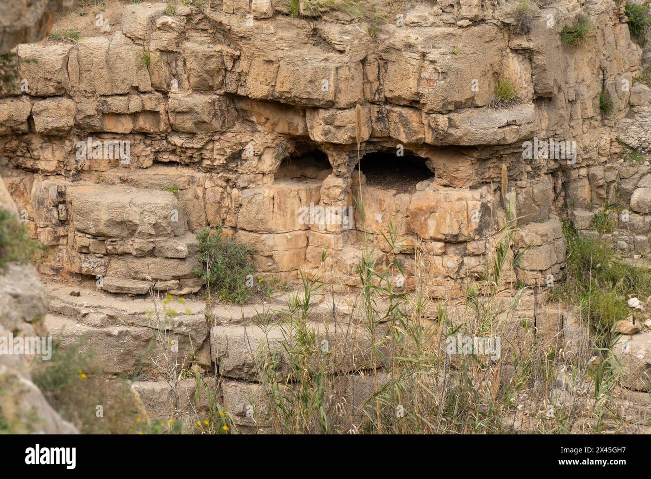 Deux grottes naturelles, ressemblant à des yeux humains, dans les falaises calcaires au-dessus du ruisseau Prat dans les montagnes de Judée, Israël. Banque D'Images