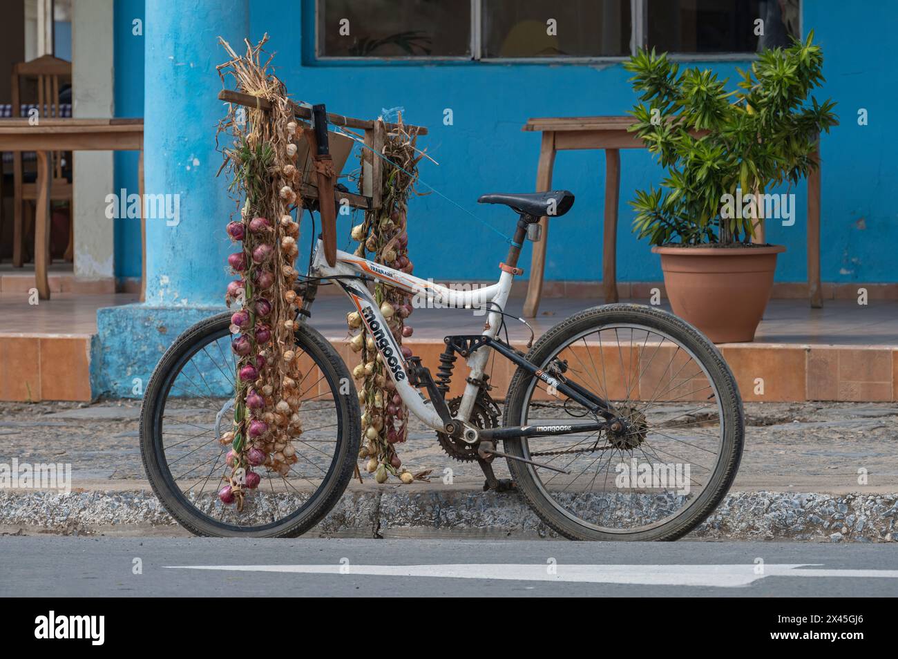 Un vélo vendeur d'oignons garé sur le côté de la route principale qui traverse le centre de Vinales, Cuba Banque D'Images