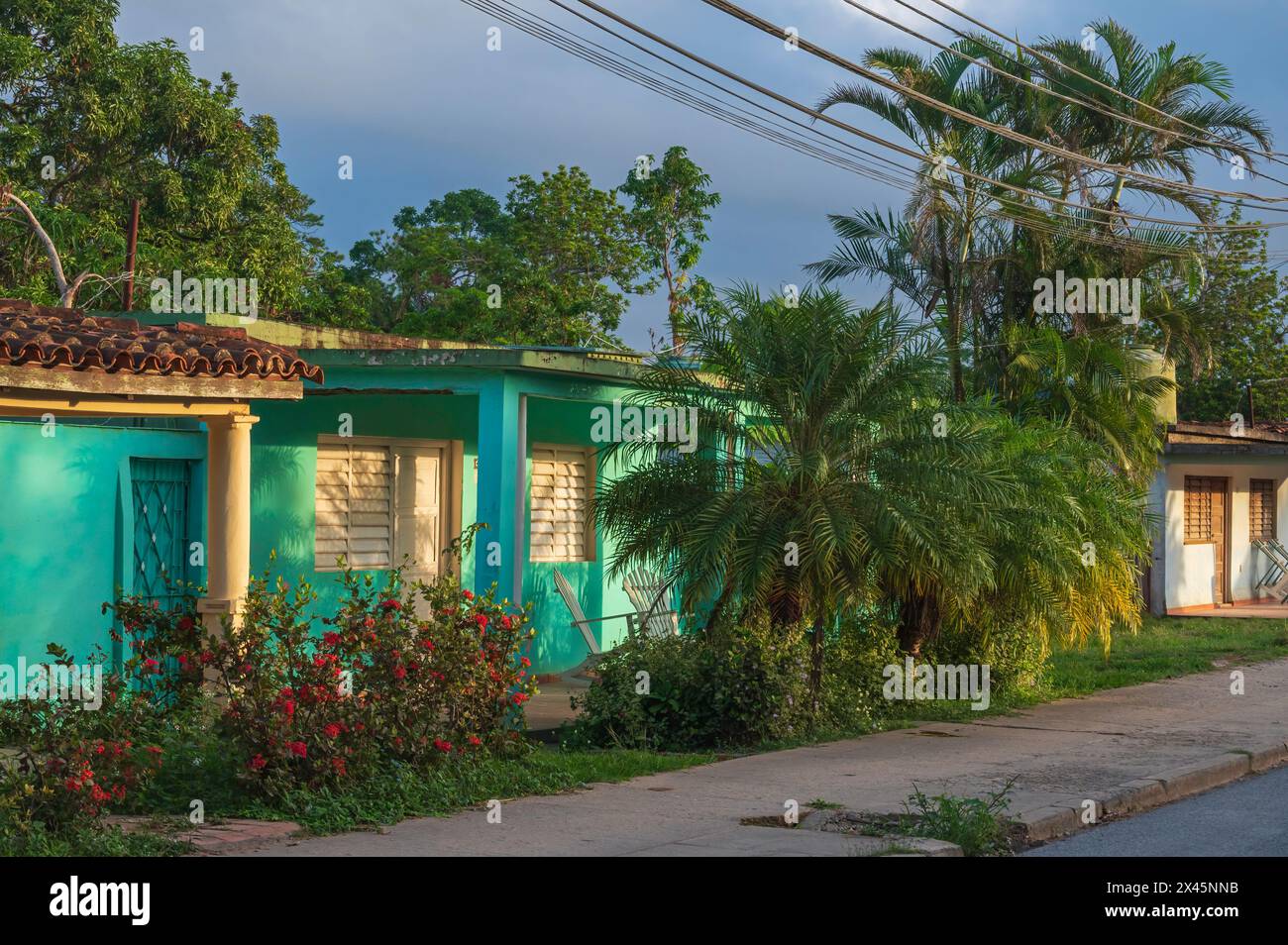 Une vue typique des maisons et des palmiers bordant les ruelles de Vinales, Cuba Banque D'Images