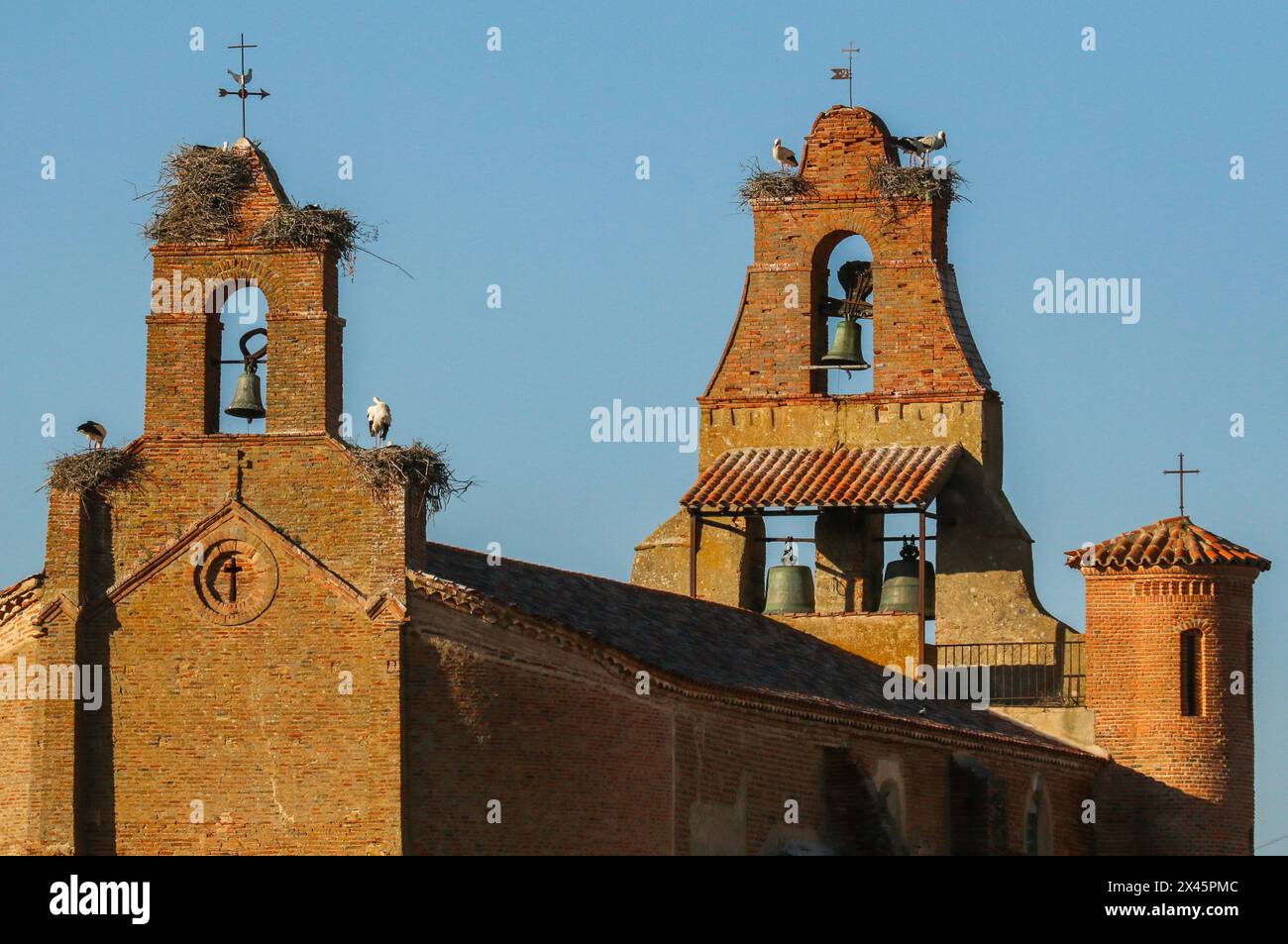 Cigognes blanches nichant sur l'église de Villafaflla, région de Castilla y Leon, Espagne Banque D'Images