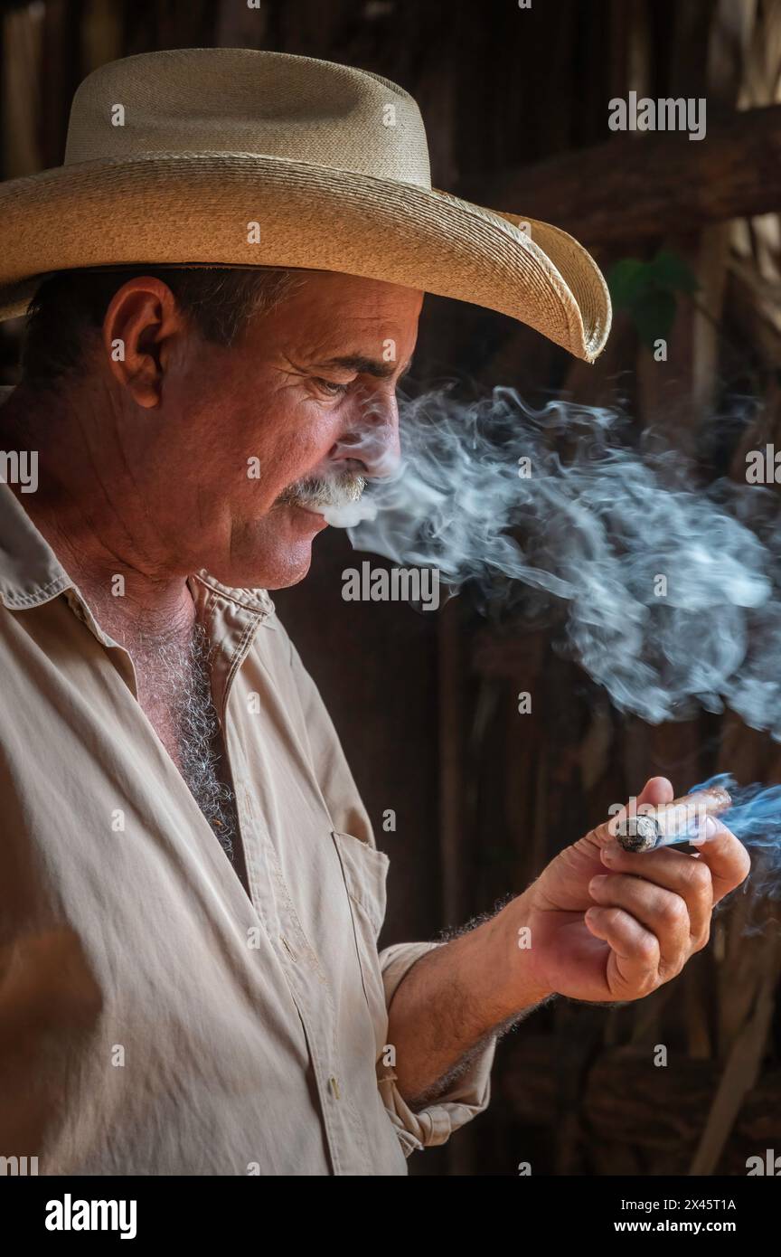 Un ouvrier moustache, portant un chapeau de cow-boy, fumant un cigare dans une grange de séchage à la ferme de tabac de Benito, Parc National de Vinales, Vinales, Cuba Banque D'Images