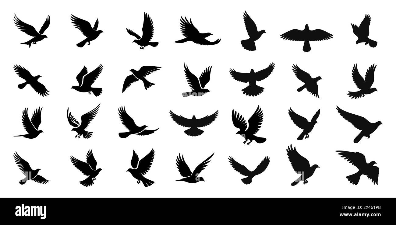 Ensemble de silhouettes d'oiseaux volants dans un style plat sur un fond blanc. Illustration vectorielle. Illustration de Vecteur