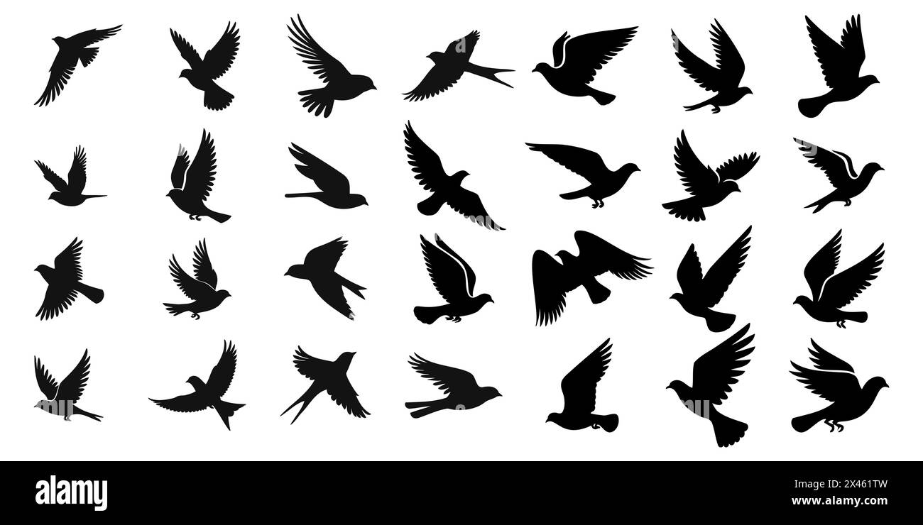 Ensemble de silhouettes d'oiseaux volants dans un style plat sur un fond blanc. Illustration vectorielle. Illustration de Vecteur