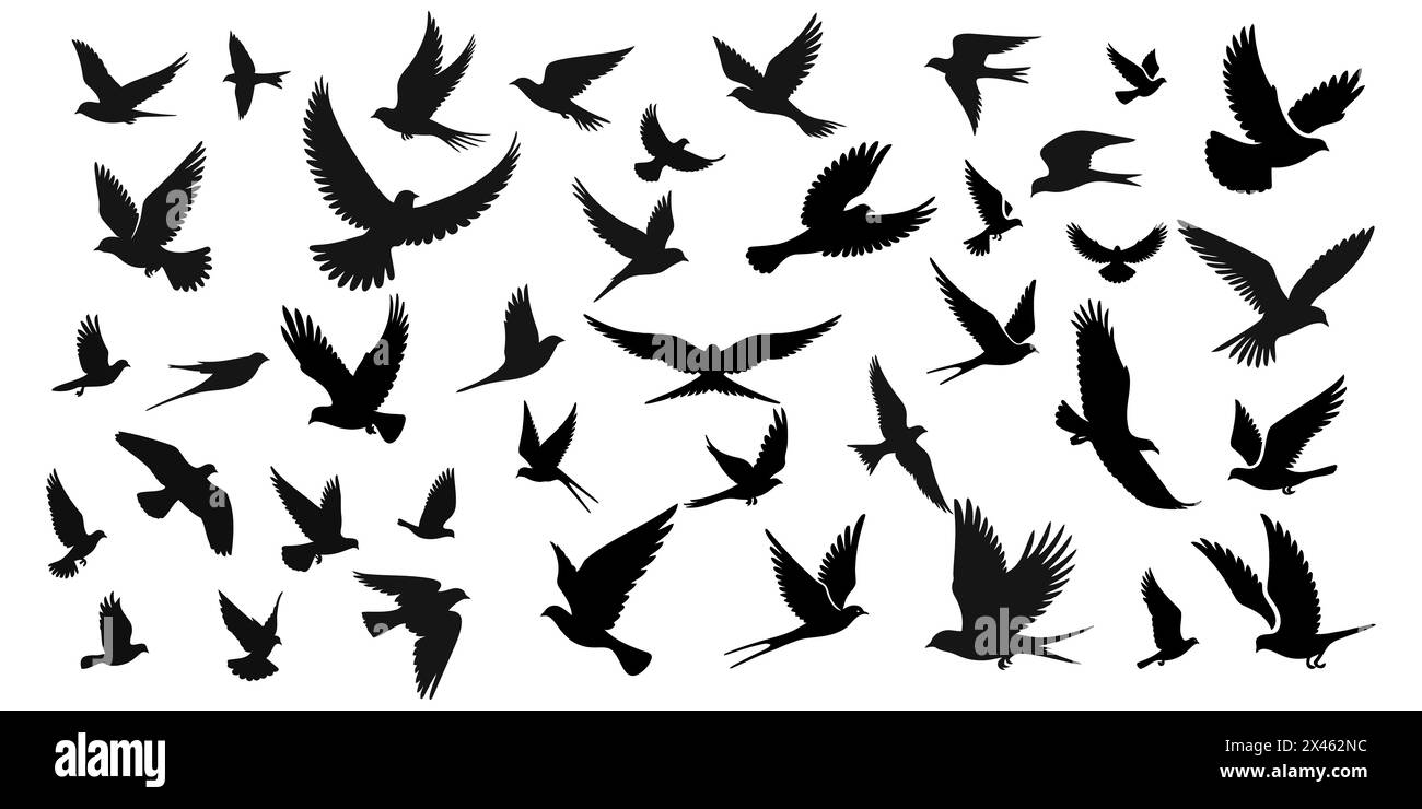 Ensemble de silhouettes d'oiseaux volants dans un style plat sur un fond blanc. Illustration vectorielle. Illustration de Vecteur