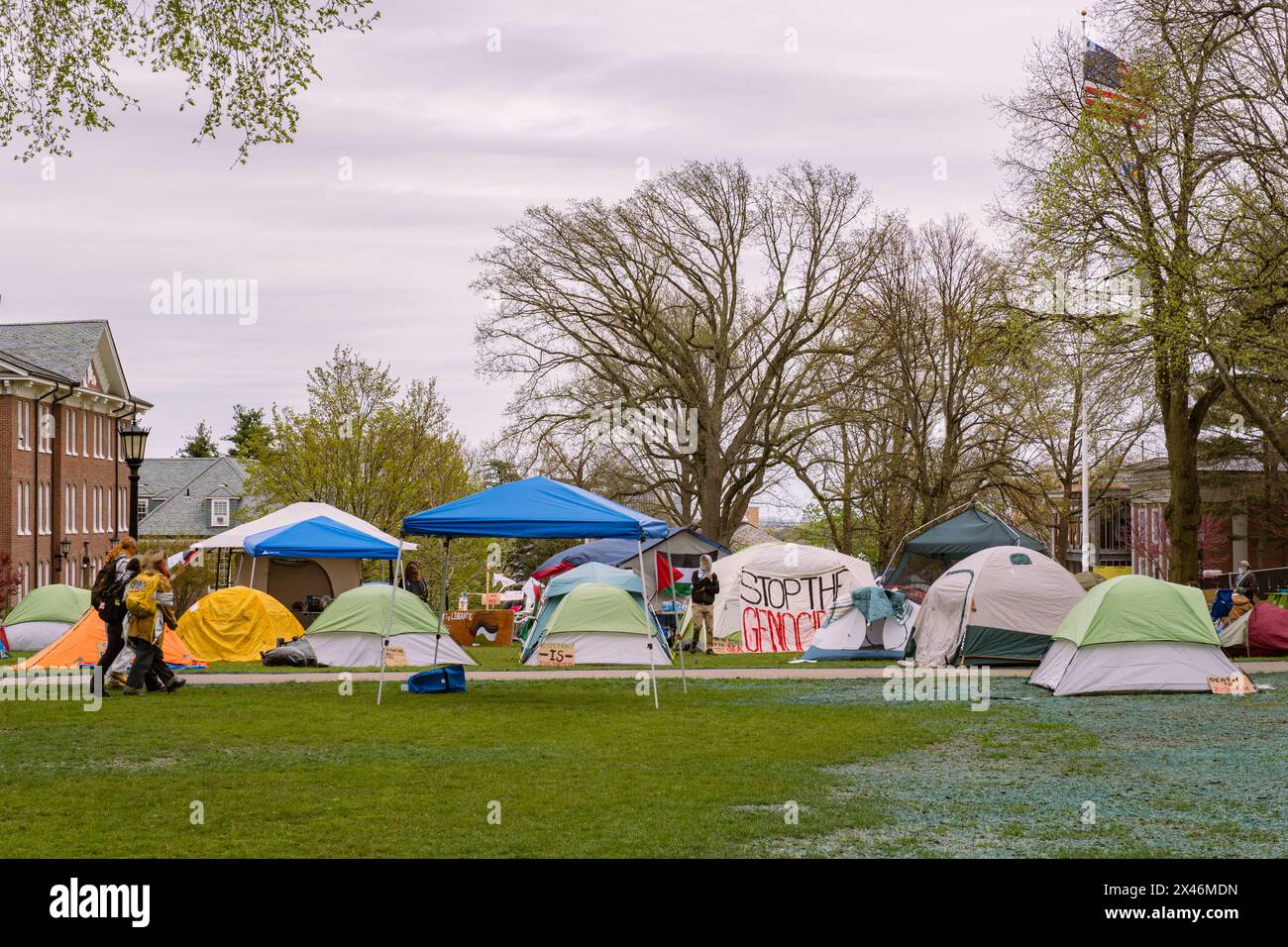 Medford, ma, États-Unis-30 avril 2024 : des manifestants pro-palestiniens à l'Université Tufts ont installé un campement de tente pour protester contre la guerre à Gaza. Banque D'Images