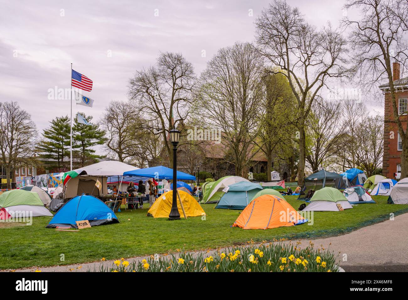 Medford, ma, États-Unis-30 avril 2024 : des manifestants pro-palestiniens à l'Université Tufts ont installé un campement de tente pour protester contre la guerre à Gaza. Banque D'Images
