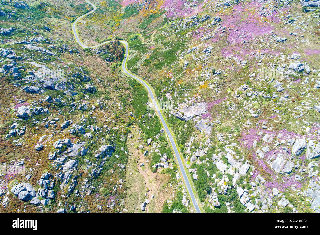 Vue par drone, prise de vue aérienne d'une route sinueuse dans une zone montagneuse au printemps. Galice, Espagne. Banque D'Images