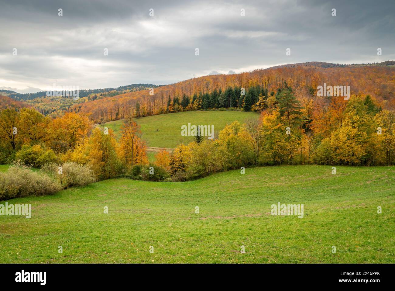 Un bel automne dans les montagnes polonaises de l'île Beskids en petite Pologne Banque D'Images