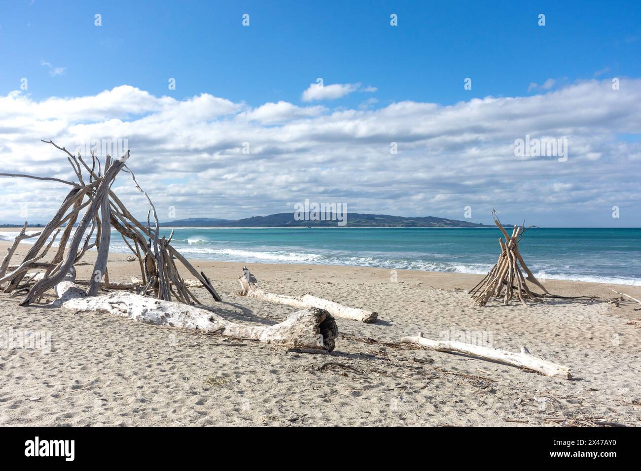 Diftwood art sur la plage de Kaka point, Molyneux Bay, Port Molyneux, Otago, Nouvelle-Zélande Banque D'Images