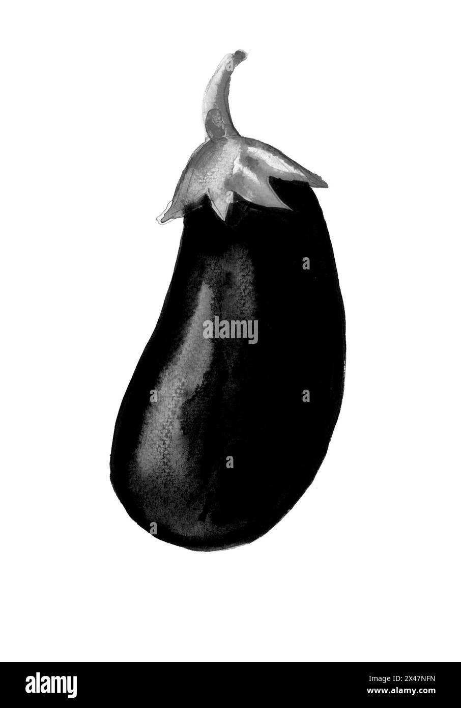 Aubergine isolée sur fond blanc. Dessin à l'encre monochrome. Différentes nuances de gris. Noir. Banque D'Images