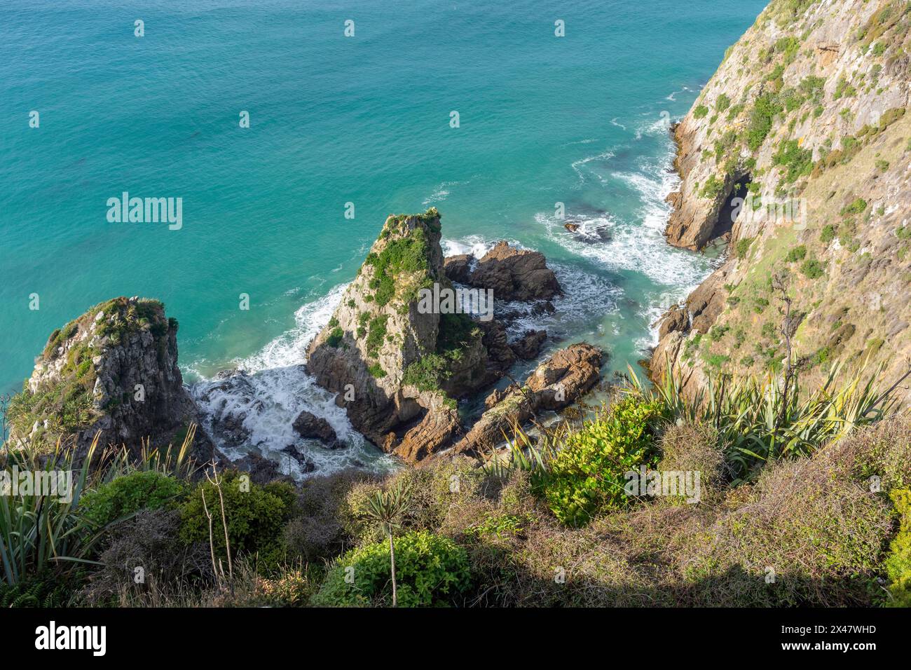 Vue sur la côte, Nugget point, Catlins Coast, Otago, Nouvelle-Zélande Banque D'Images