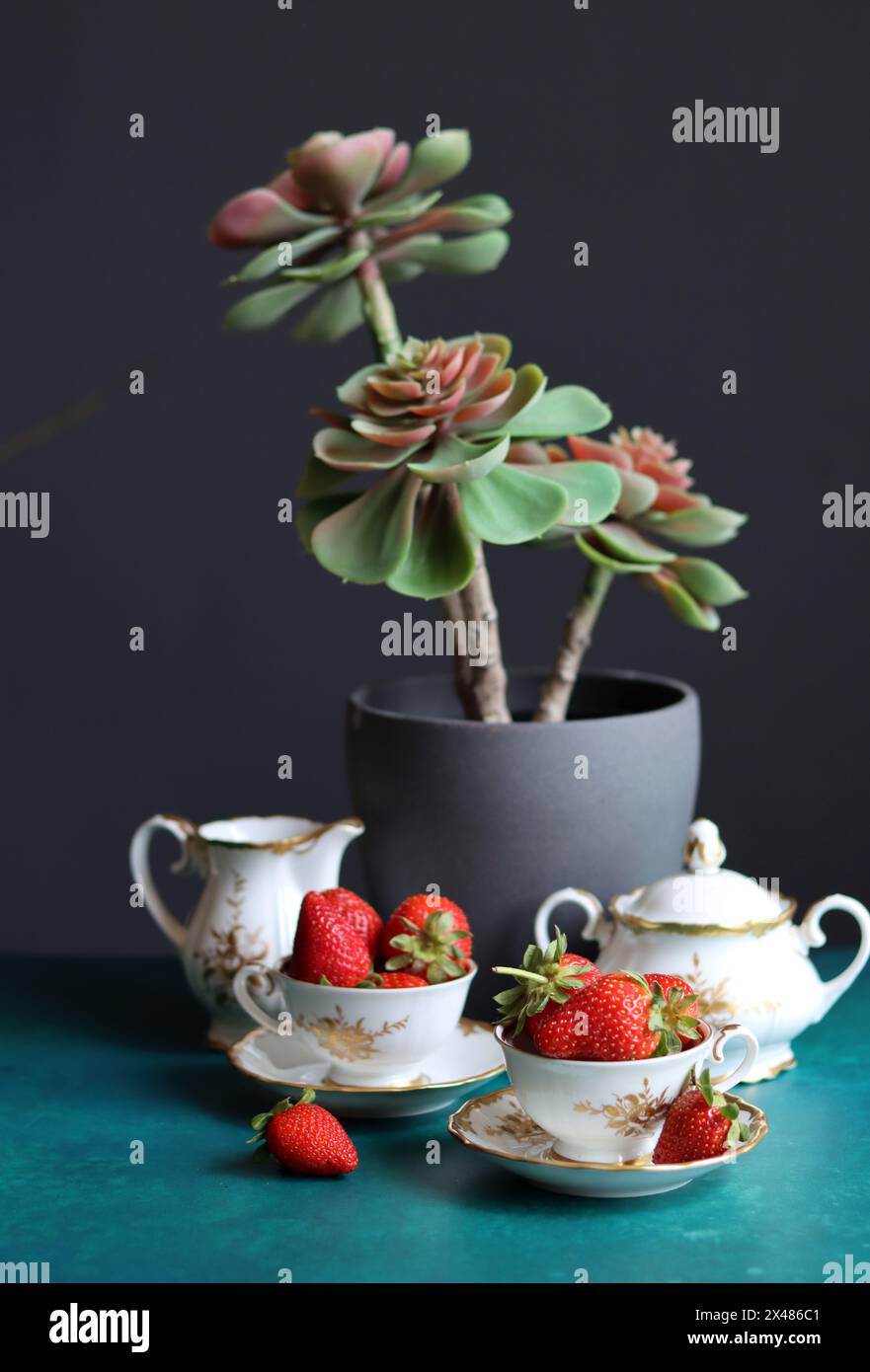 Tasse de thé avec des fraises et plante succulente sur fond sombre avec espace pour le texte. Manger un concept frais. Banque D'Images
