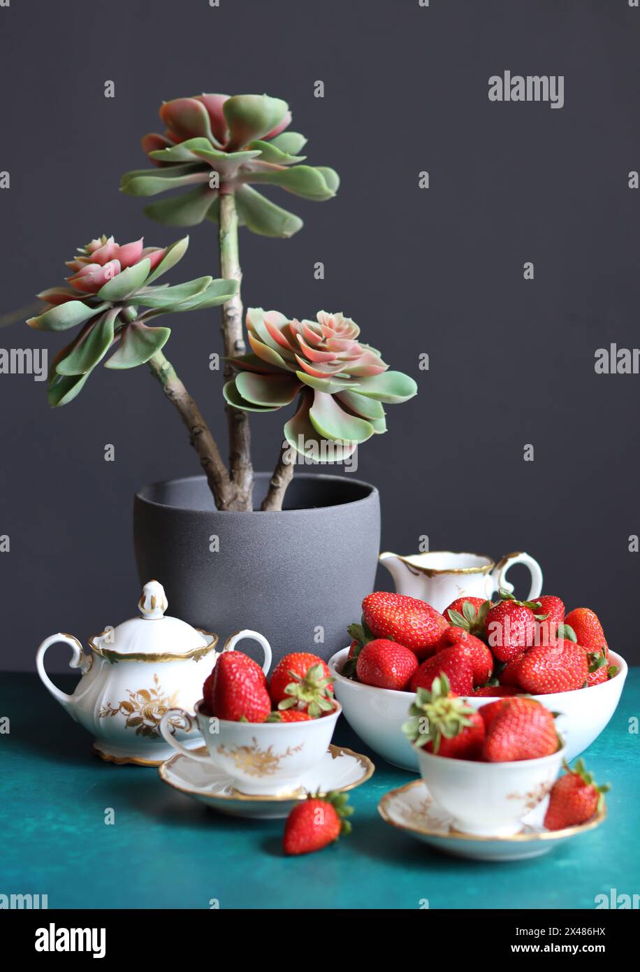 Tasse de thé avec des fraises et plante succulente sur fond sombre avec espace pour le texte. Manger un concept frais. Banque D'Images