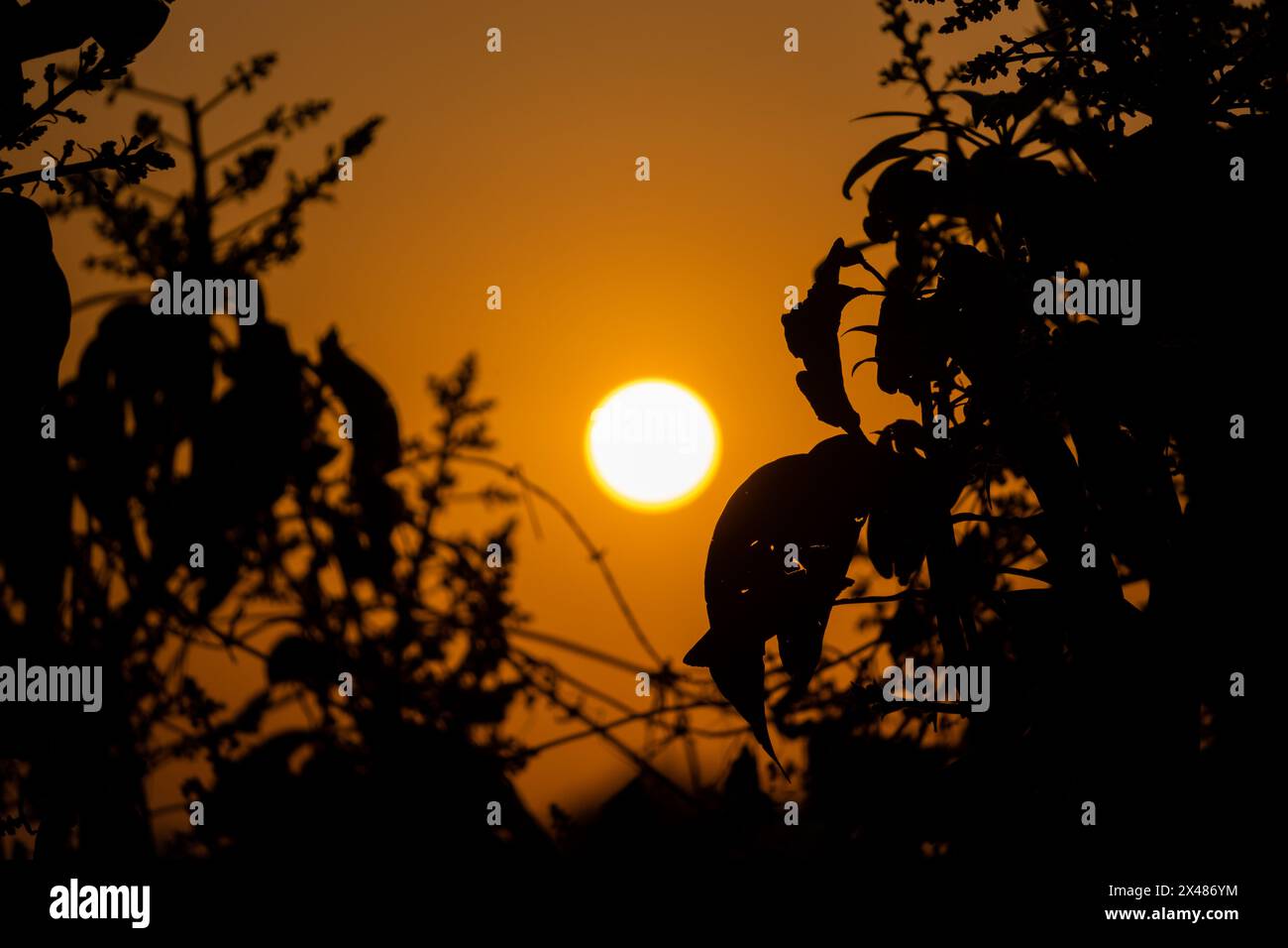 Découvrez la splendeur de la nature avec un coucher de soleil vibrant projetant une teinte orange sur la ville de Dehradun, Uttarakhand, Inde. L'envoûtement du paysage de nuages complète la Banque D'Images