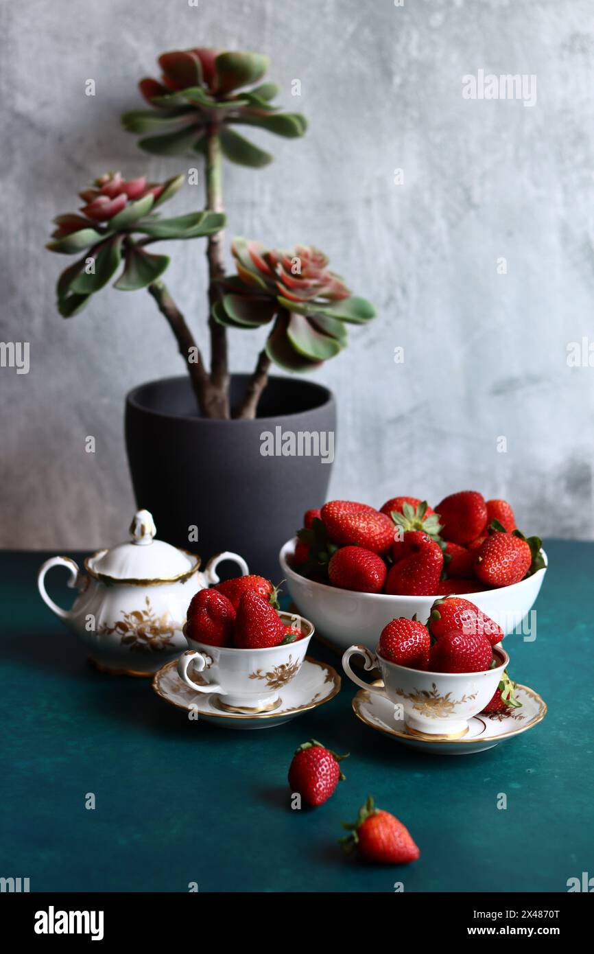 Nature morte avec plante succulente dans un pot gris, fraises biologiques mûres dans des tasses en porcelaine vintage blanche sur fond texturé avec espace pour le texte. Banque D'Images