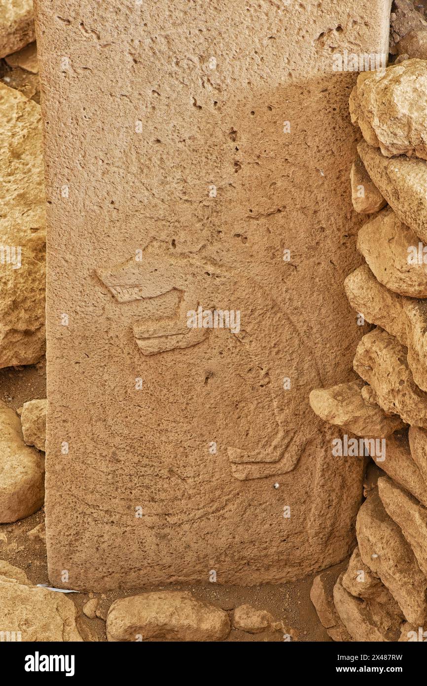 Gobekli Tepe site archéologique néolithique datant du 10 millénaire av. J.-C., piliers de pierre massifs avec relief sculptural d'animaux sauvages, Potbelly Hill, Banque D'Images