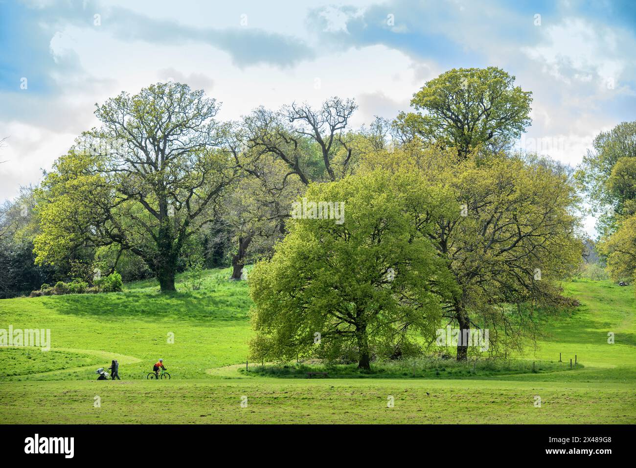 Ashton Cour, Bristol UK Banque D'Images