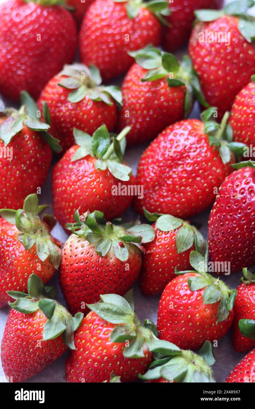 Fond rouge de fraises mûres. Texture fraise gros plan photo. Baies biologiques fraîches macro. Manger un concept frais. Banque D'Images