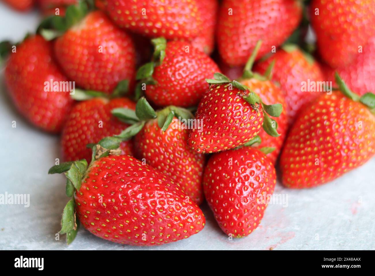 Fond rouge de fraises mûres. Texture fraise gros plan photo. Baies biologiques fraîches macro. Manger un concept frais. Banque D'Images