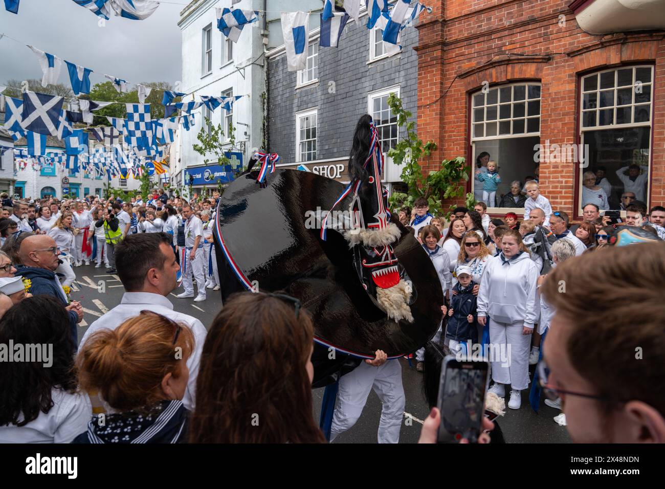 Padstow, Cornouailles, Royaume-Uni. 1er mai 2024. Célébrations du 1er mai. Les rues de Padstow étaient pleines pour la procession traditionnelle d'Obby Oss à travers la ville. Crédit Simon Maycock / Alamy Live News. Banque D'Images