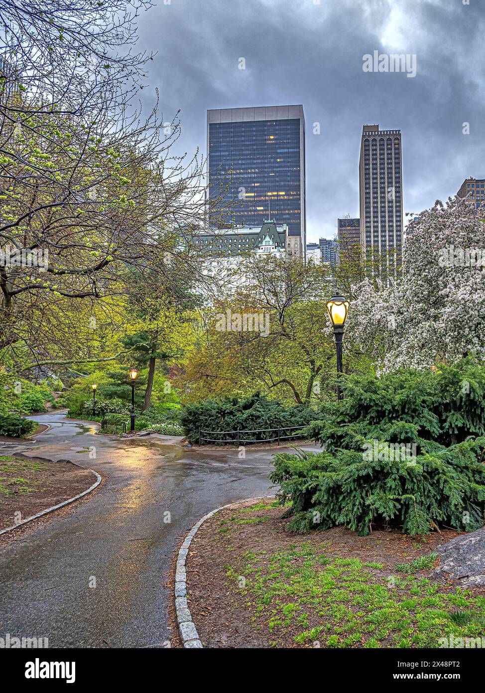 Printemps à Central Park, New York, tôt le matin sous la pluie Banque D'Images