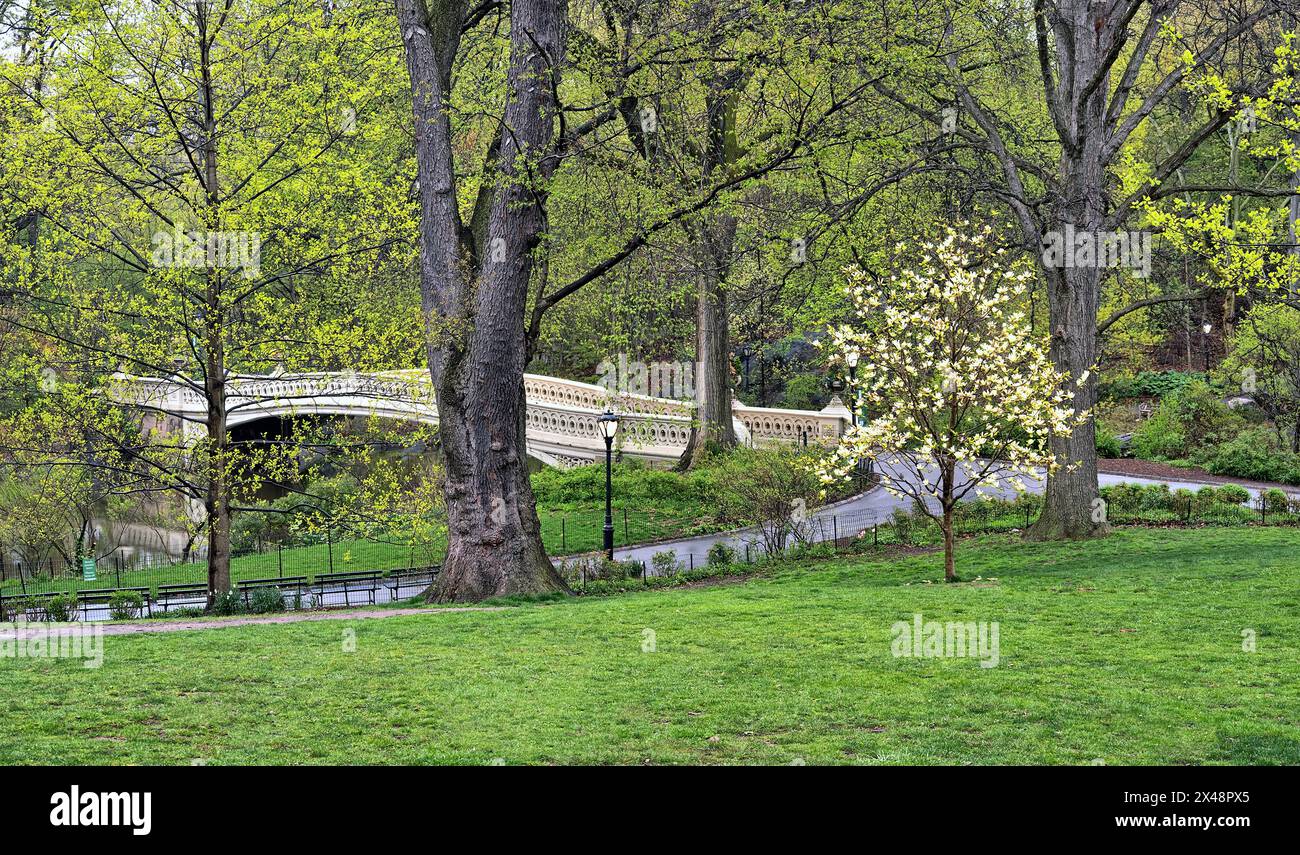 Bow Bridge, Central Park, New York City à la fin du printemps après une pluie matinale et du brouillard Banque D'Images