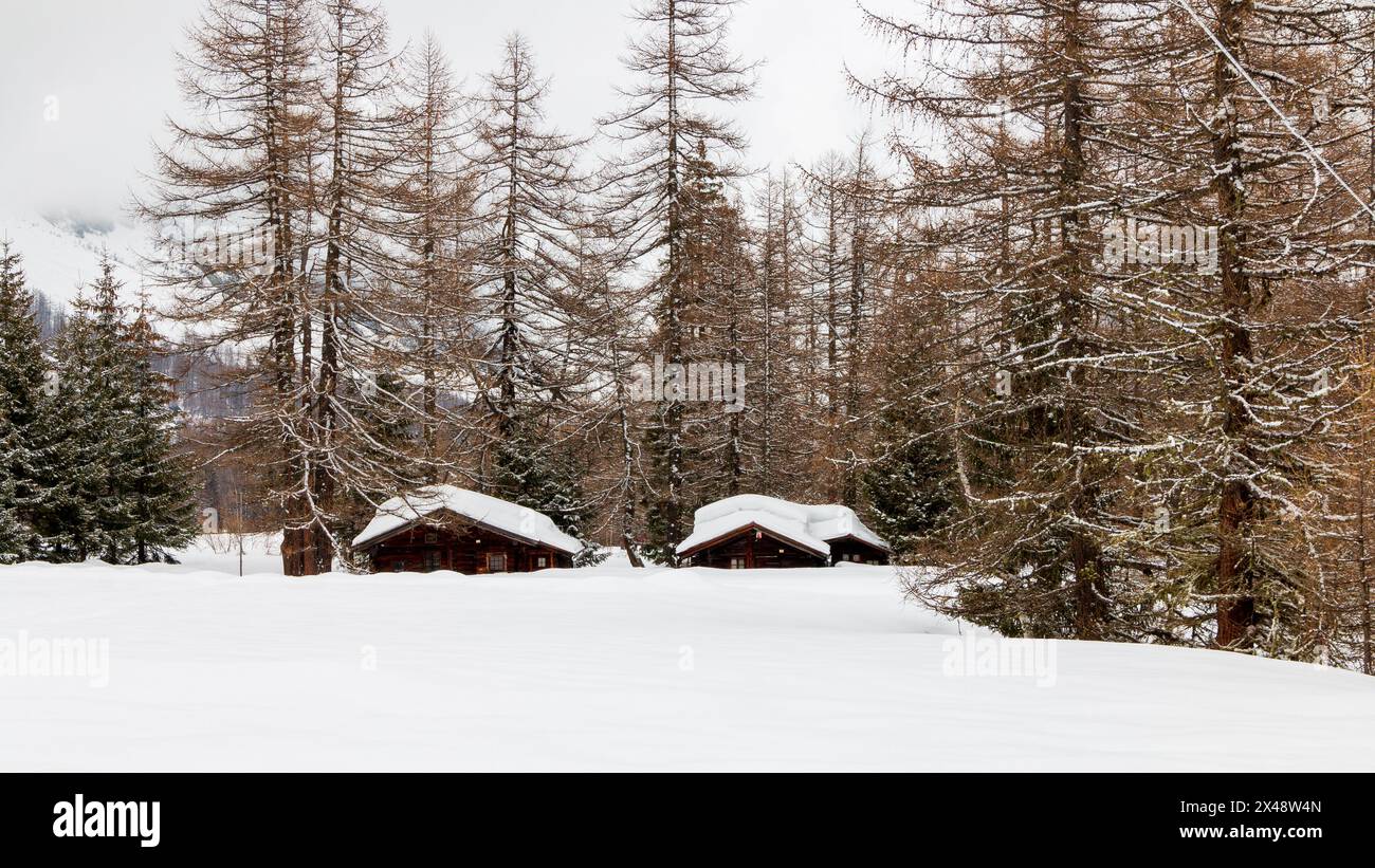 petit chalet en bois immergé dans les bois couverts de neige Banque D'Images