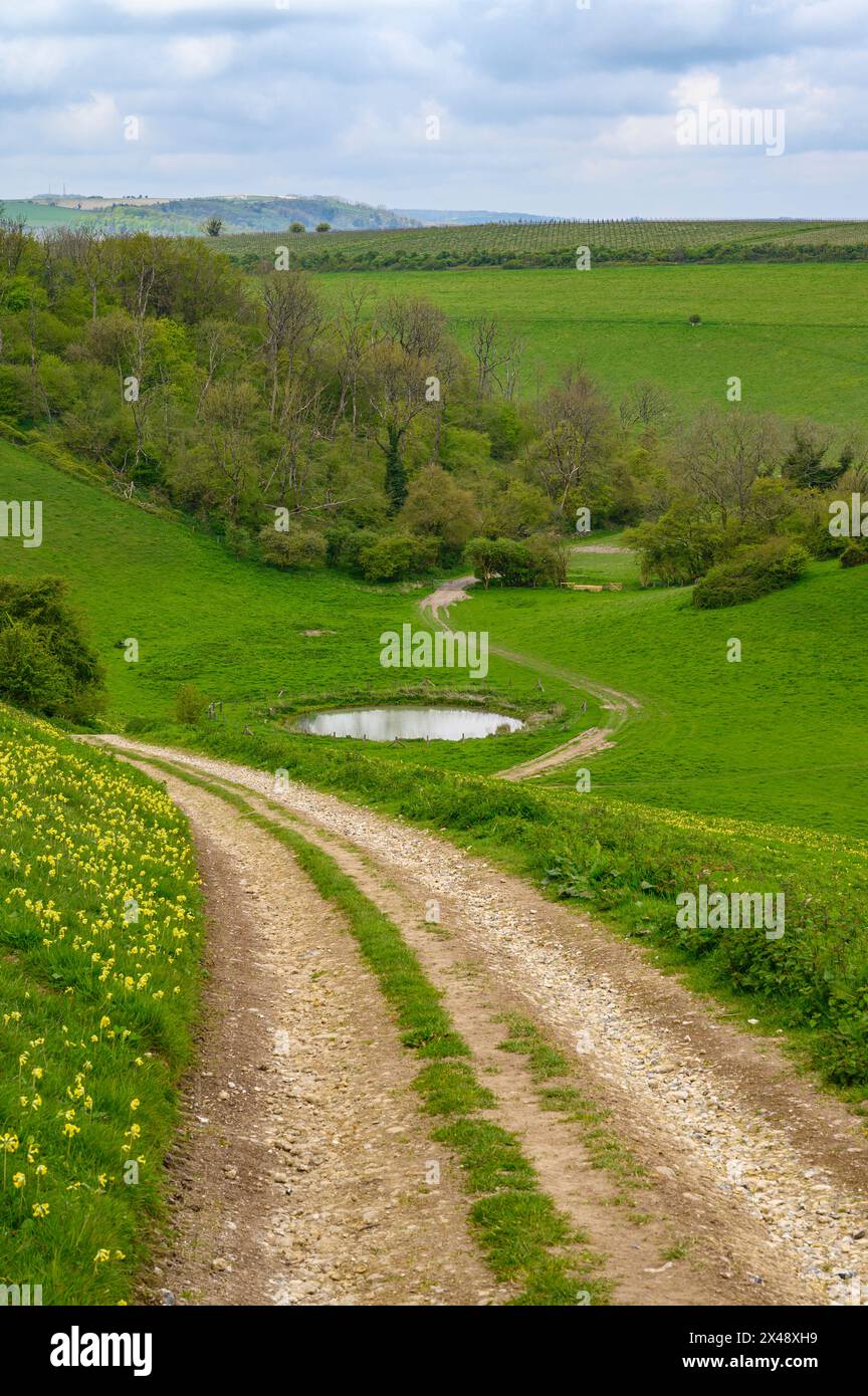 Une route de gravier descend une colline et passe devant un étang de rosée dans la vallée verdoyante du parc national de South Downs près d'Amberley dans le West Sussex, en Angleterre. Banque D'Images