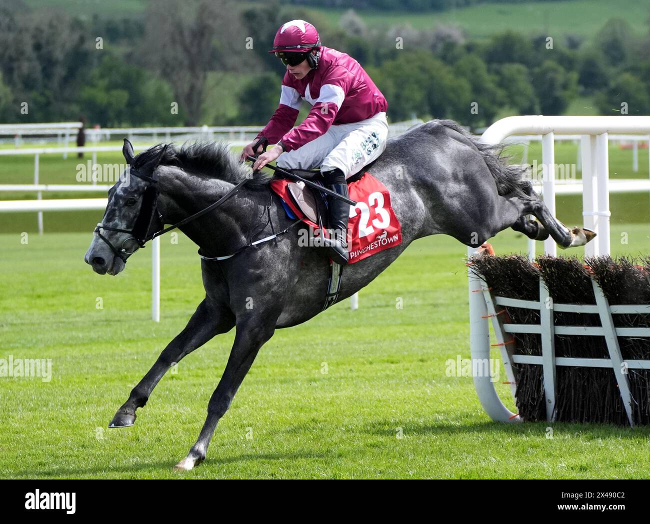 Harsh monté par Danny Gilligan sur leur chemin pour gagner l'Adare Manor Opportunity Series final handicap Hurdle lors de la deuxième journée du Punchestown Festival à Punchestown Racecourse, comté de Kildare. Date de la photo : mercredi 1er mai 2024. Banque D'Images