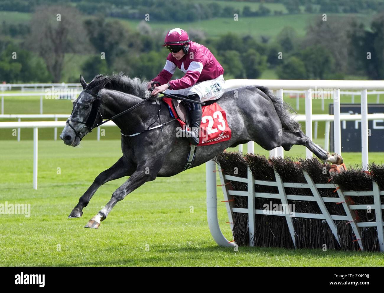 Harsh monté par Danny Gilligan sur leur chemin pour gagner l'Adare Manor Opportunity Series final handicap Hurdle lors de la deuxième journée du Punchestown Festival à Punchestown Racecourse, comté de Kildare. Date de la photo : mercredi 1er mai 2024. Banque D'Images