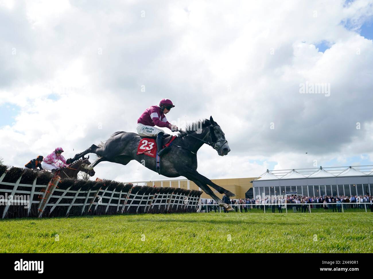 Harsh monté par Danny Gilligan sur leur chemin pour gagner l'Adare Manor Opportunity Series final handicap Hurdle lors de la deuxième journée du Punchestown Festival à Punchestown Racecourse, comté de Kildare. Date de la photo : mercredi 1er mai 2024. Banque D'Images