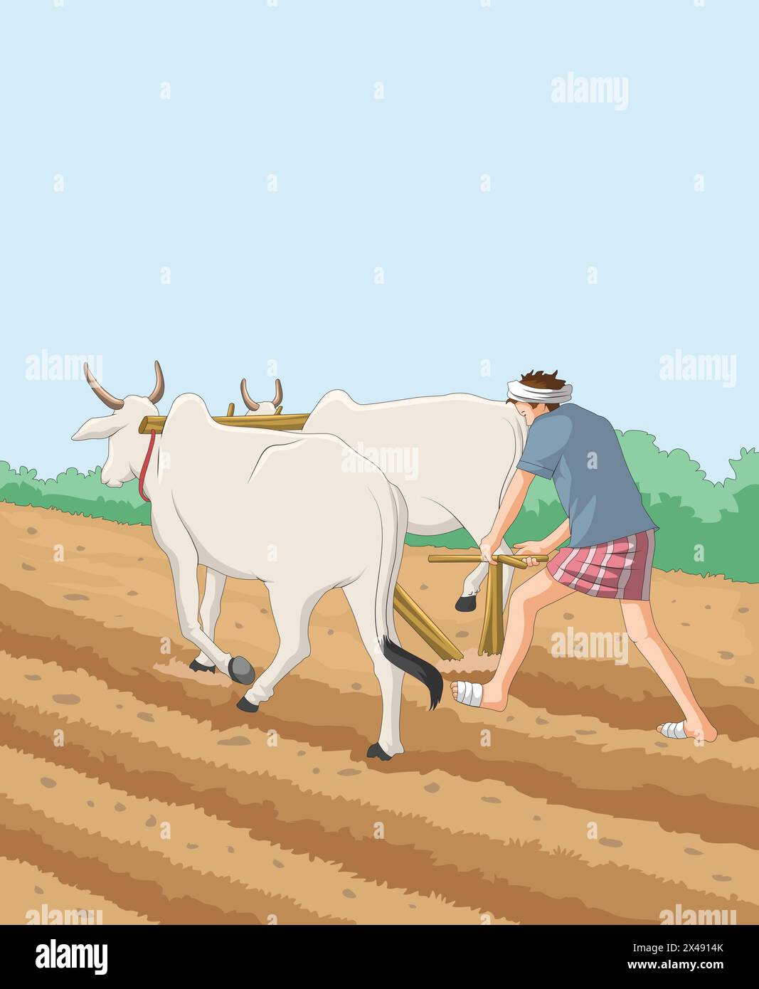 Champ de labourage agricole avec chariot à boeuf Illustration de Vecteur