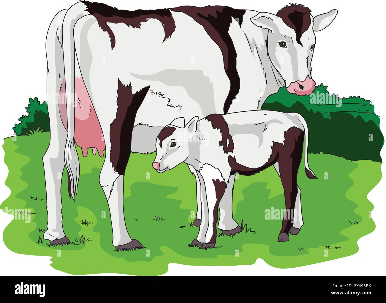 Mignon vache et veau debout dans un champ d'herbe Illustration de Vecteur