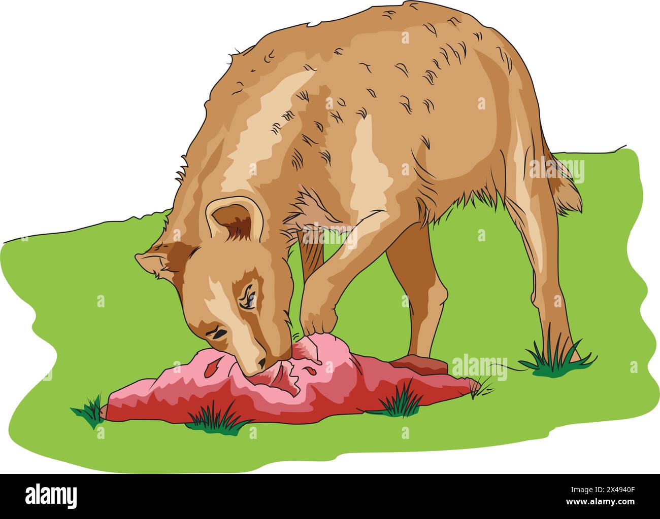 Hyena mangeant de la viande Illustration de Vecteur