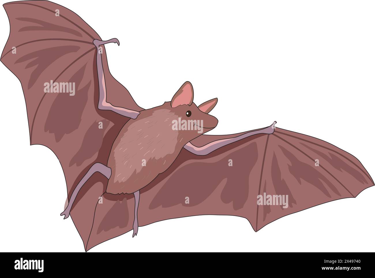 Chauve-souris vampire Illustration de Vecteur